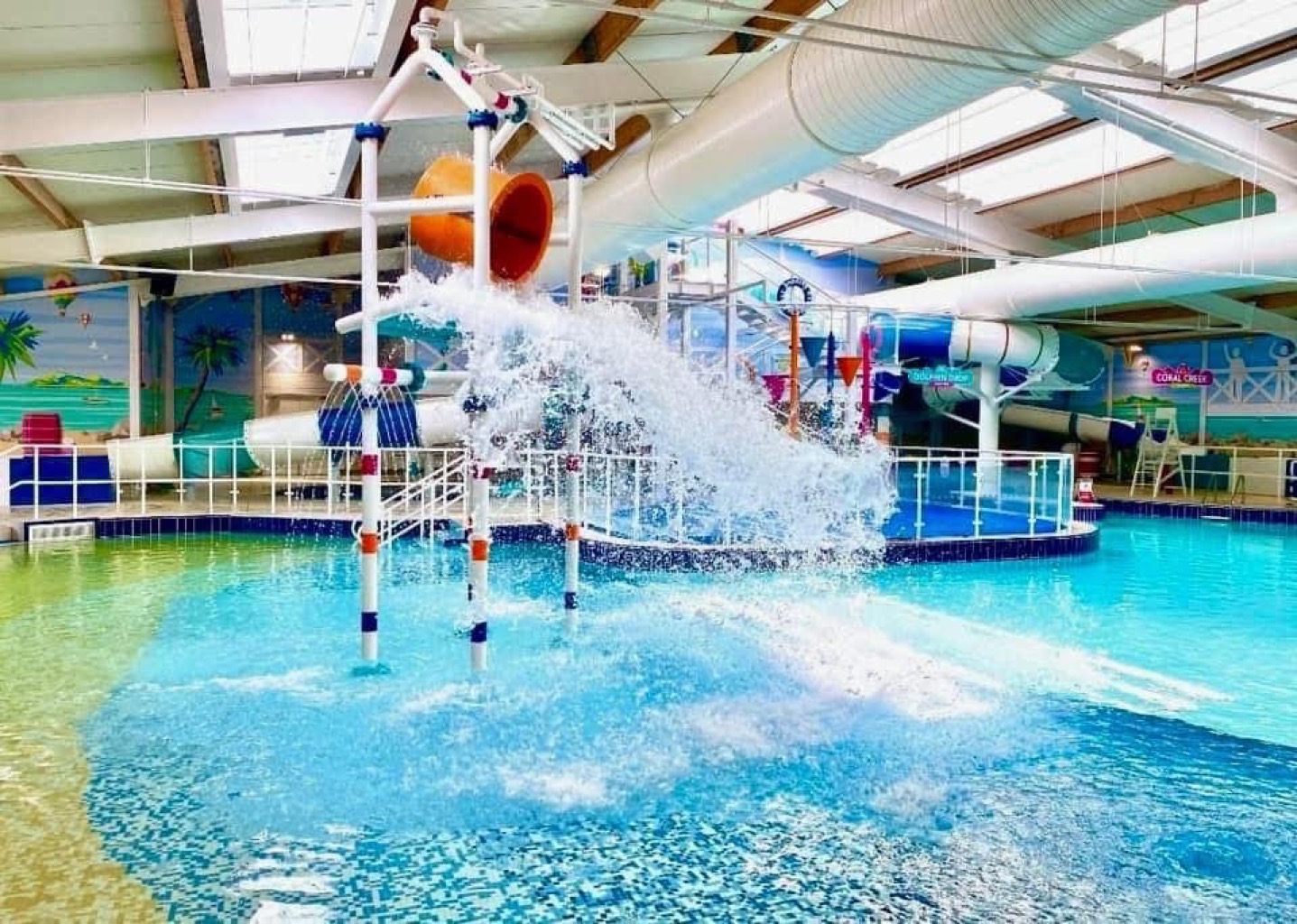 Swimming 